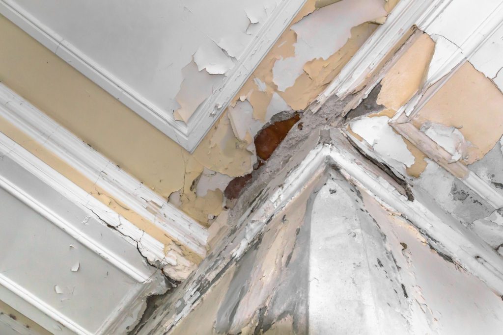 Home Disaster